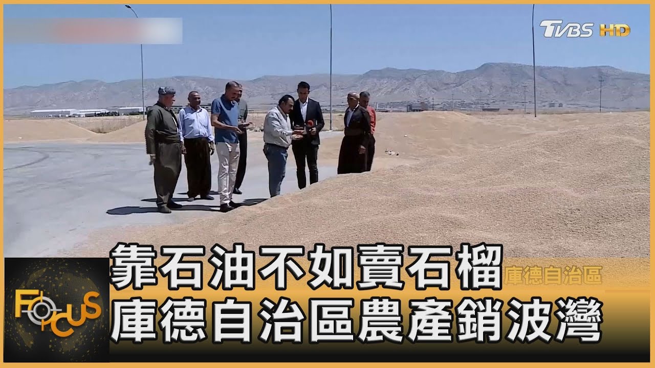靠石油不如賣石榴 庫德自治區農產銷波灣