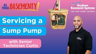Watch video: Annual Service Appointment - Sump Pump System