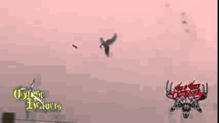 Goose Head Off Courtesy of Patternmaster