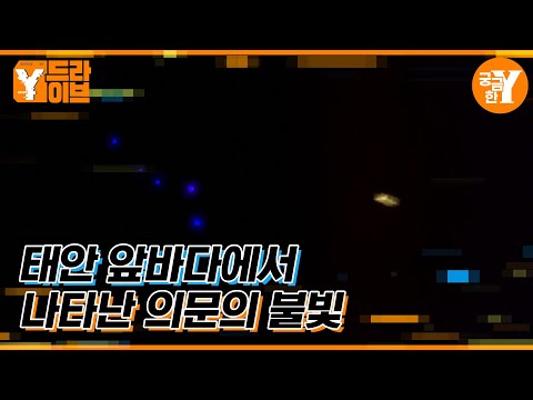 태안 앞바다에 나타난 정체 모를 불빛 | Y드라이브