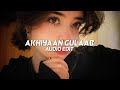 Akhiyaan Gulaab - Mitraz [edit audio]