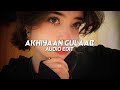 Akhiyaan Gulaab Mitraz Edit Audio