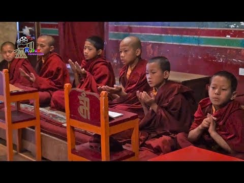 Buddhist Monks Praying in KARMA THEKCHEN LING MONASTERY || Little Monks Chanting Mantra ...