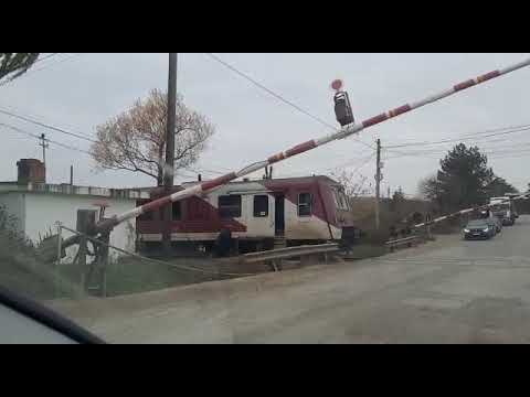 Trenul R CR 11421 Dorohoi-Iași sosește în Trușești