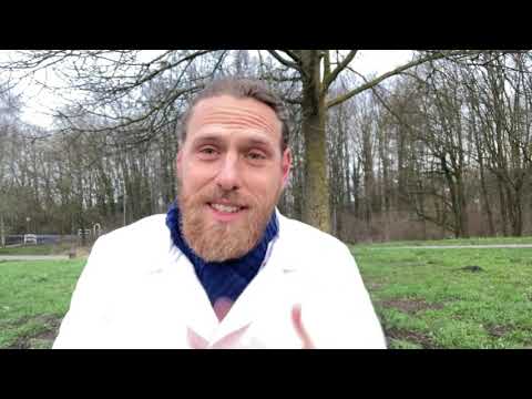 LIEBE DEINE FEINDE (Tagesgedanke von Omraam Mikhaël Aïvanhov) 28.03.21