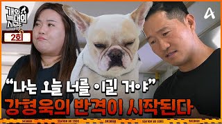 [影音] 250812 Channel A 狗和狼的時間 E02