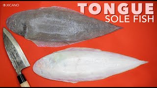 Tongue solefish || Clean, Marinade &amp; Cook