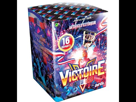 15275 - ALLEZ LA FRANCE VICTOIRE - LA BOUTIQUE DE LARTIFICIER