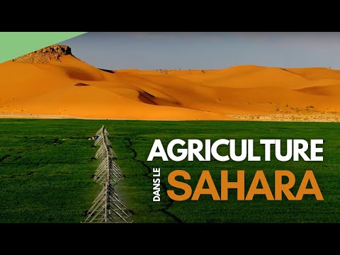 Agriculture dans le Sahara - L'Algérie vue du ciel (extrait)