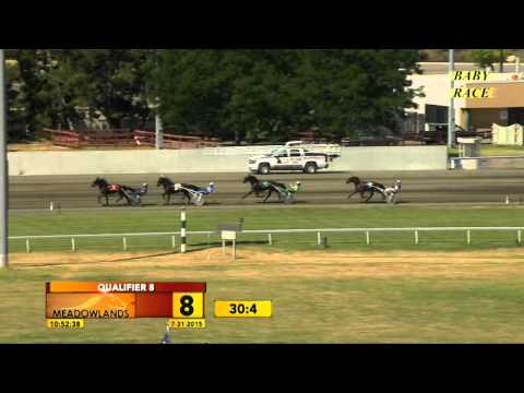 Meadowlands Baby Race #8 - July 31, 2015 - Talk Show