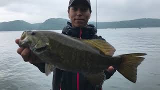 朝田直敬 撮影　野尻湖 ネコリグ、ダウンショットで釣れてます