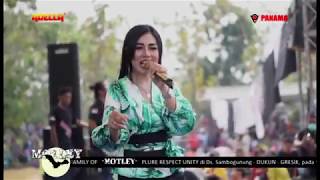 Download lagu kereta malam - nona ayu - adella live sambogunung mp3