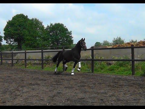 Hometown x Westpoint los