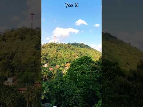 Beauty of the nature💚🌳