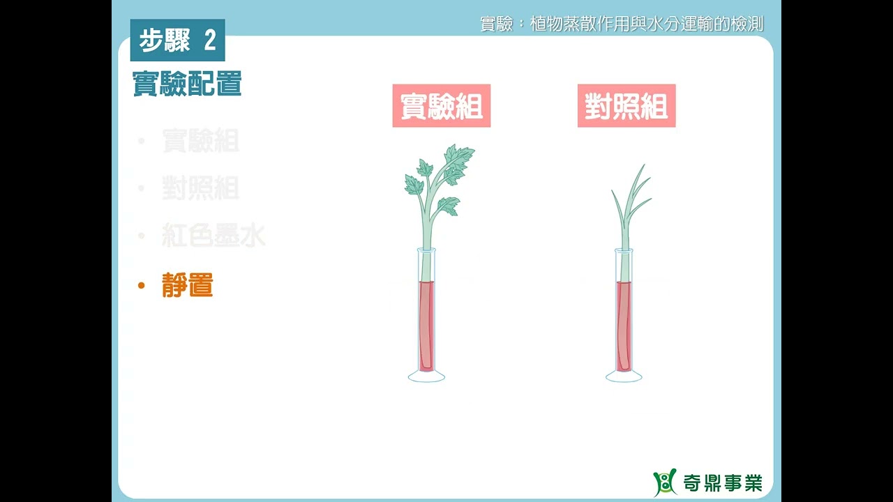 單元3：植物蒸散作用與水分運輸的檢測