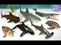 15 SEA ANIMALS SURPRISE TOYS 3D PUZZLES for kids - Great White Shark Whale Manta Ray Beluga Turtle