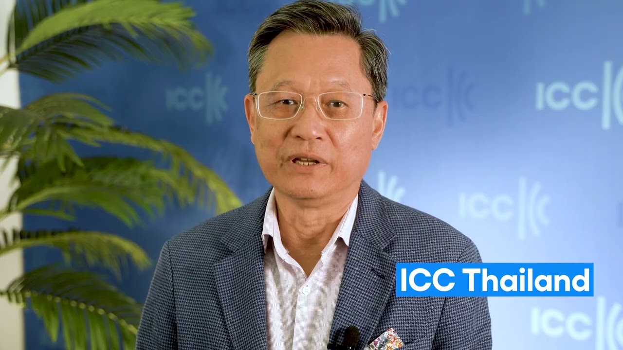 How do ICC National Committees support their members?