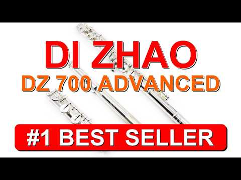 Di Zhao DZ 700 Advanced Silver Flute - B008R9LPU0