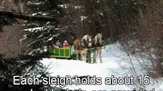 preview picture of video 'Adams Farm Sleigh Rides'
