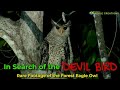 In Search Of The Devil Bird Ulama