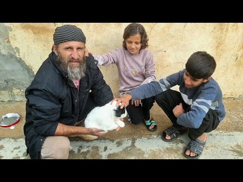 Mr. Davood's Family Adventures: Heartwarming Tales of Love & Laughter