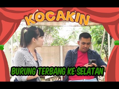 kocakin-burung-terbang-ke-selatan
