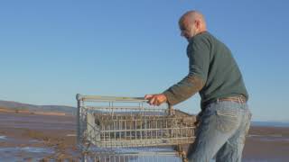the shopping cart