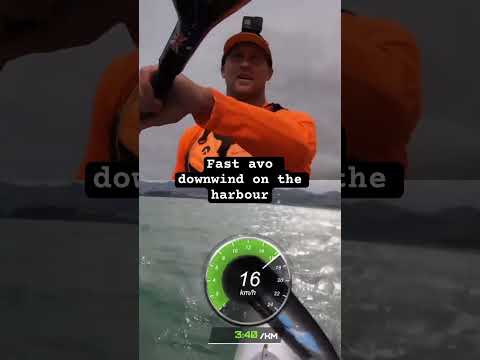 Downwind on the harbour paddlers technique