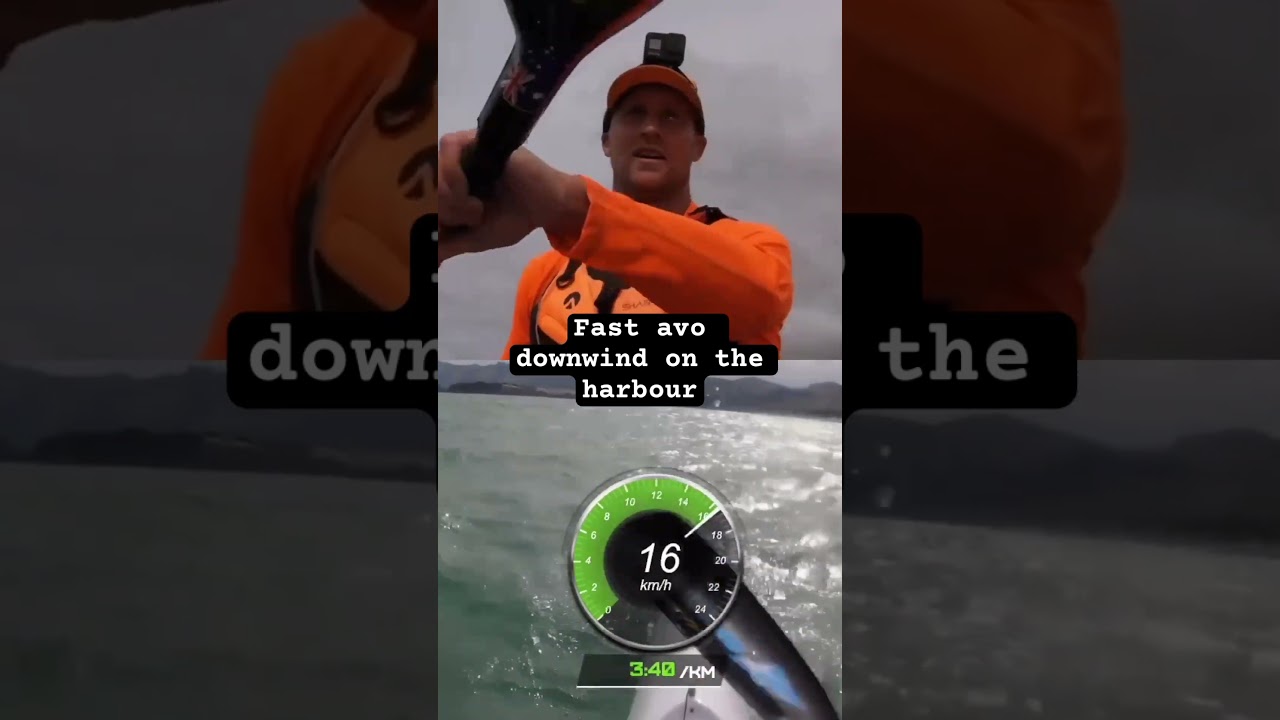 Downwind on the harbour paddlers technique