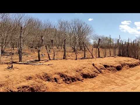 Município de Mirandiba #nordeste #pernambuco 