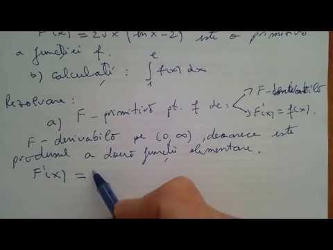Primitive of a function. Definite integral.
