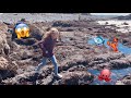 Exploring Tide Pools on the Oregon Coast
