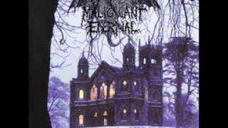 Malignant Eternal - Into Twilight