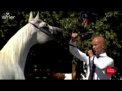 N.52 ERAIRA - Strohen 2018 B Int