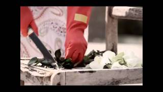 Mashrou' Leila- Fasateen( English)