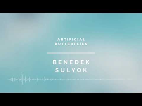 benedek sulyok - artificial butterflies