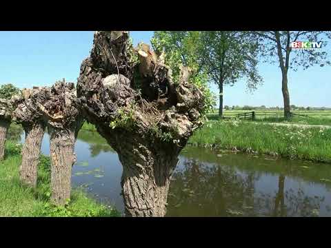 Nieuwland  Zomer in Nieuwland 1 mei 2025