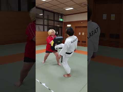 空手前蹴り押す蹴り三日月蹴り