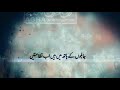 30 Sec Clip On Occasion Of 15 Shaban Wiladat E Imam Mehdi As 4