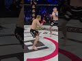 Gogoplata Submission by Brent Primus! ? #shorts #bellator296