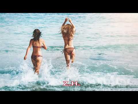 Dj Vianu x Dj Project feat  Andia - Slabiciuni (Remix) (Extended)