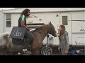 Picking Up Uber Riders On A Horse