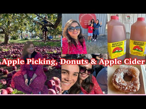Let's Go To An Apple Orchard| All You Can Eat Apples!🍎 Mountain Orchard Apple Picking in Canada