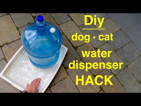 DIY Haustier-Wasserspender - Selbstfüllender Trinknapf für Hunde und Katzen