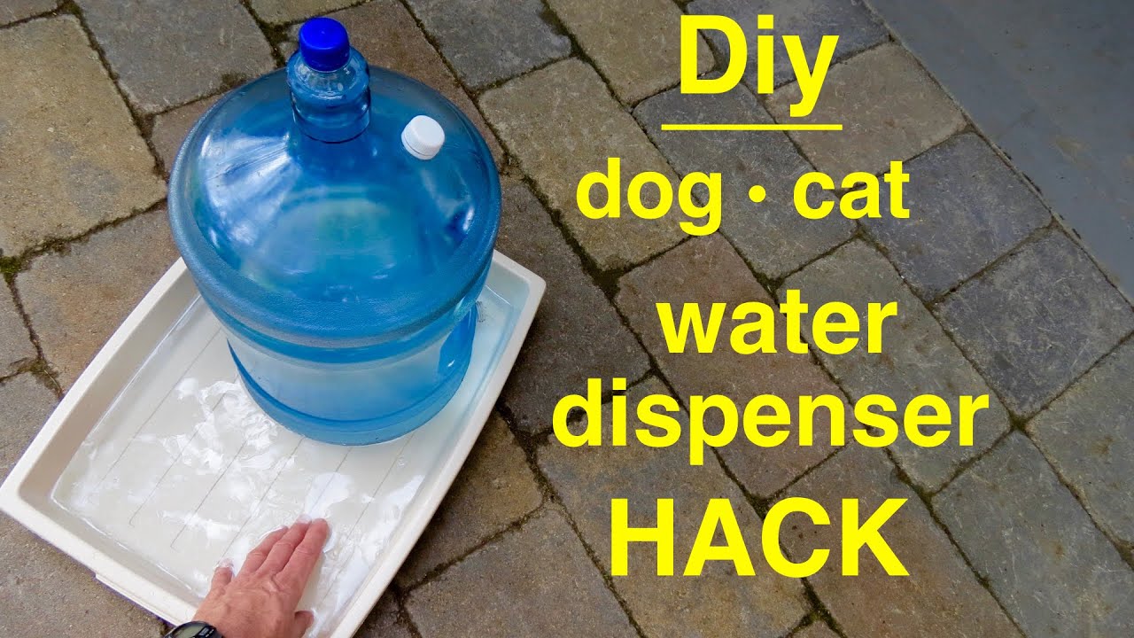 Watch video How to make ● DOG / CAT ● Large Self-filling Water Dispenser Now How to make ● DOG / CAT ● Large Self-filling Water Dispenser
