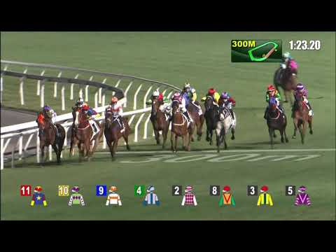 3/2/2021 (397) King Dragon - J Moreira