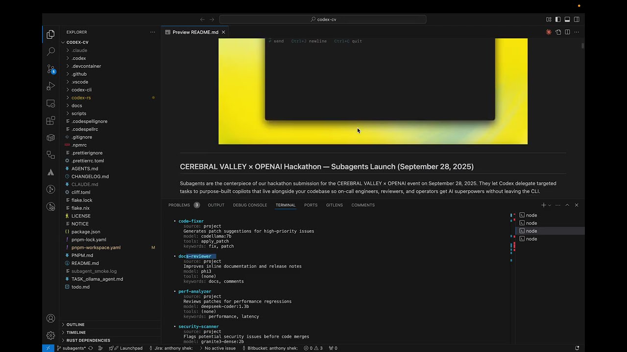 Composer project preview