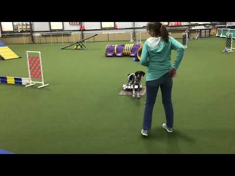 December 22, 2023  Fizz at 6 months