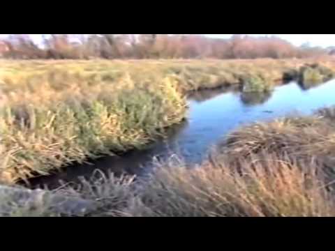 Go Fishing - John Wilson - Freshwater