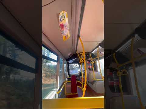 DeenLight and GamingBus